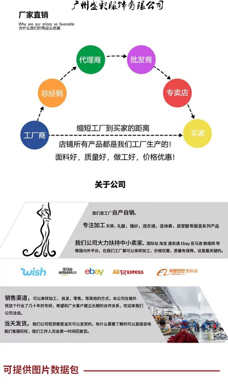 2026 European and American Autumn and Winter New Long-Sleeve Party Dress Amazon Long Elegant Mid-Waist Chiffon Women's Dress